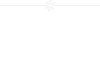 Icone of Cat and Dog